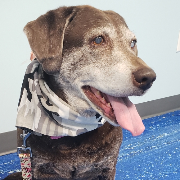 Meet your Posher, Becky - Posh Ambassador!!❤❤ - Picture 5 of 7